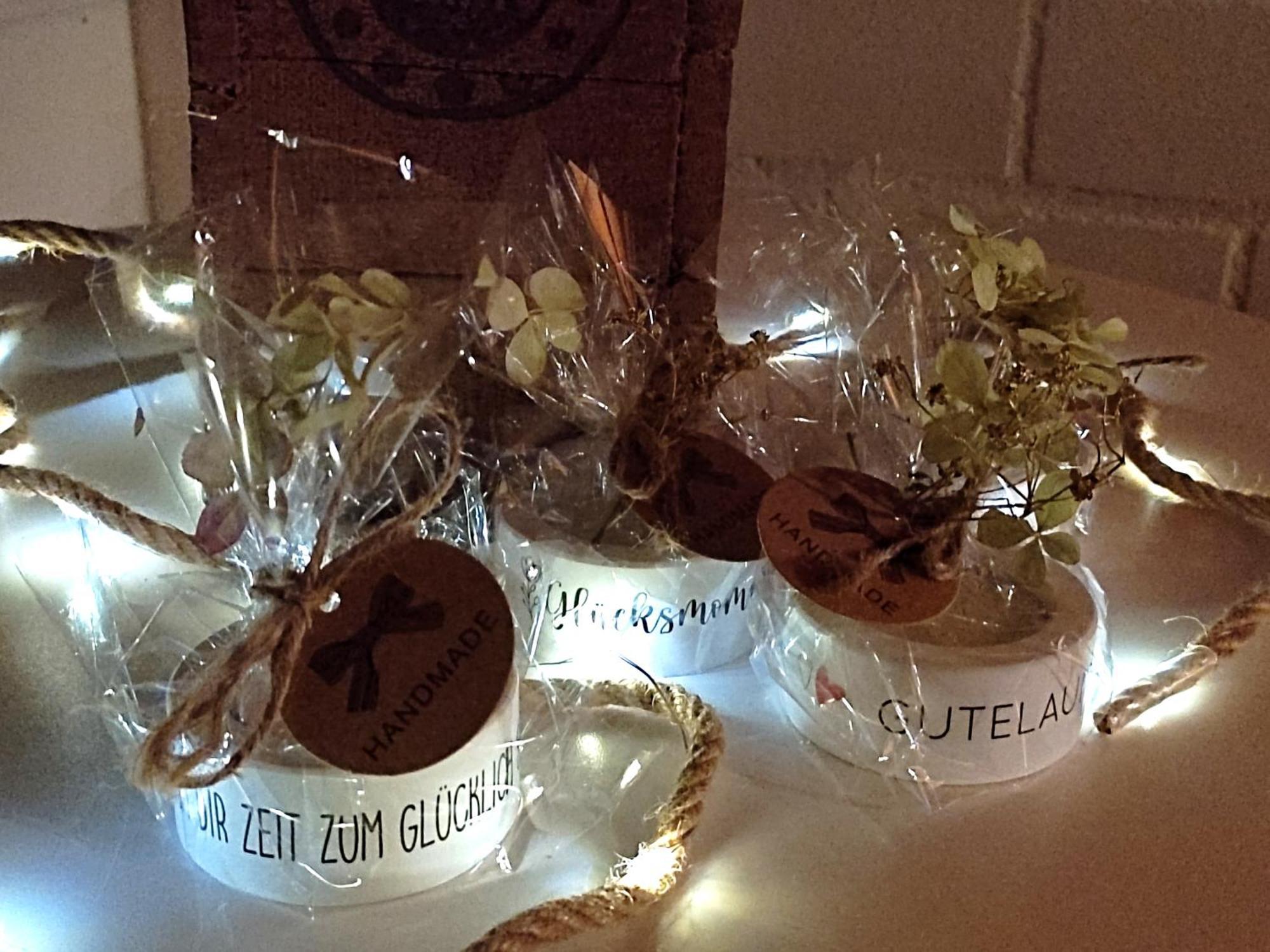 Ferienwohnung Steffenshagen プリッツヴァルク エクステリア 写真
